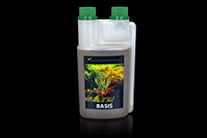 Basis