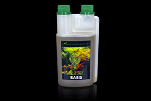 Basis